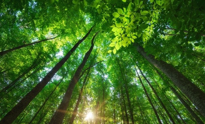 apia-primeste-pana-la-15-iulie-cereri-de-plata-pentru-schema-de-ajutor-de-stat-sprijin-pentru-s23145