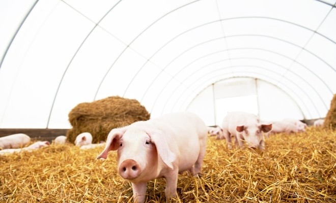 NTQ2MTMyMTA0MzQ5NzE2MwW4ZzzdA4DXDcXxLIOGLBMWTq5-IHJamKiL9BH8xPuWN6uSUYb5LTebU8HTAYm1moI_HjDsmqLu0WKJdW9cFyzZBTiEzZsnvKdp3WC51gl