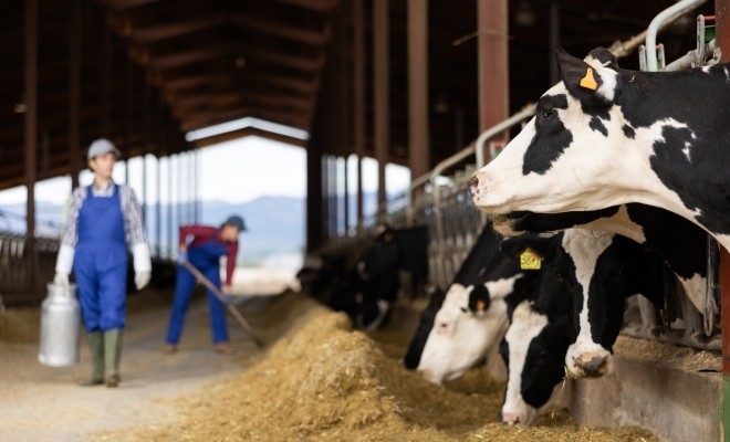 NTQ2MTMyMTA0MzQ5NzE2M5a8E9jG1oVr2OQCJ4tl-tnE_zCNeFMh5pPuXMVYrZL4cHckdD5hHXymgUIQnrToBefH7zC0My-Sfr5-TCmNlZgd88Ve7UhvqS-XYf8XVhyw4DTQv_yI9lIBj56rM1jAdPvmCx3_UPKzRA_JLOmBZ9E